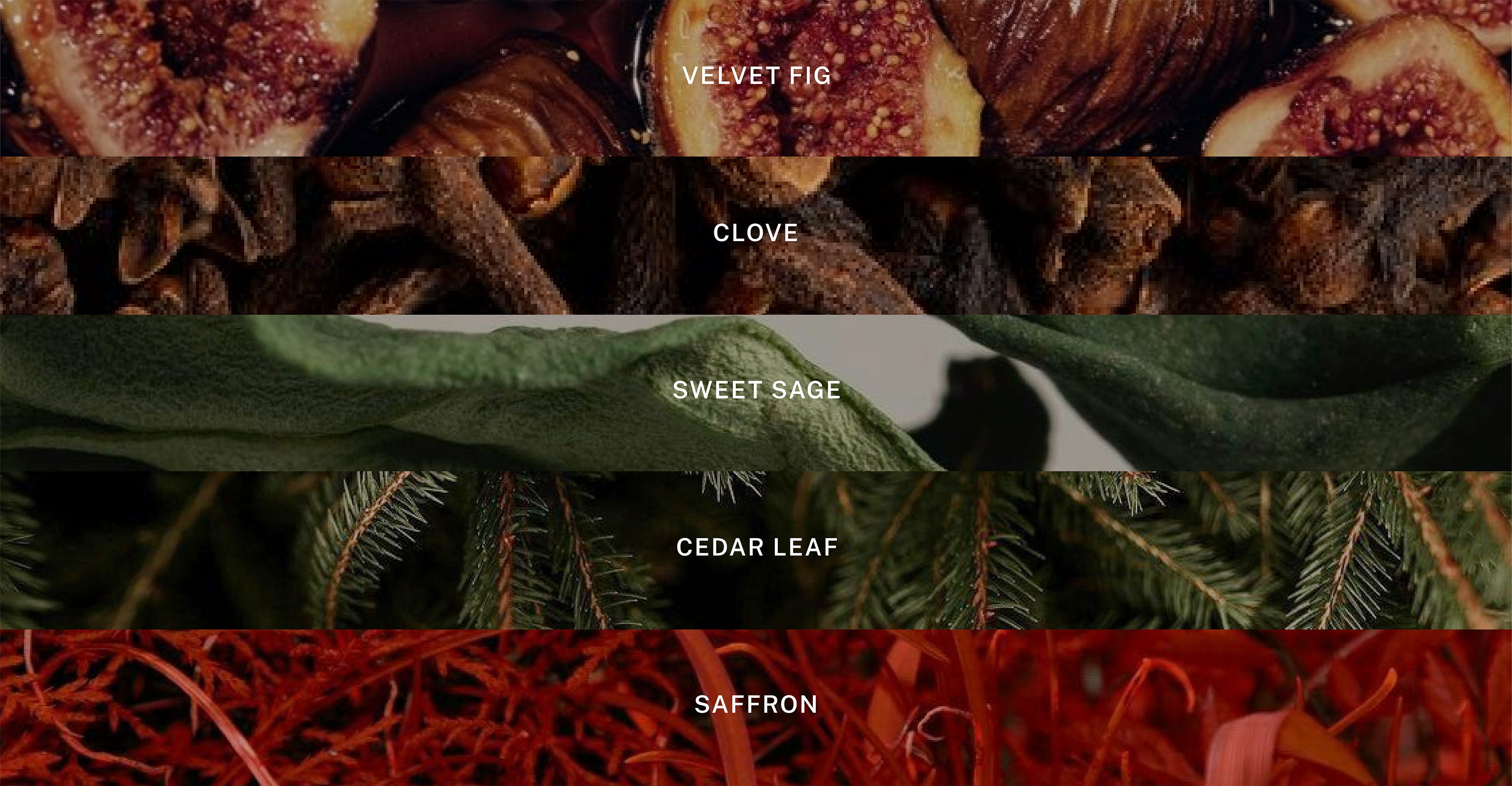 Holiday in New York - Scented Candle - 9.75 oz Soy Candle