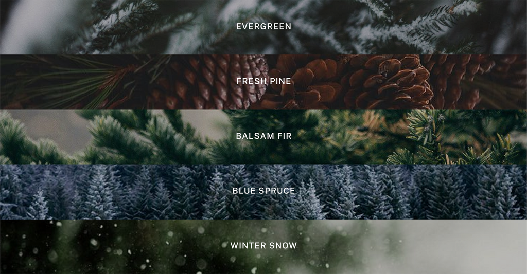 Holiday - Holiday Scented Candle - 9.75 oz Soy Candle