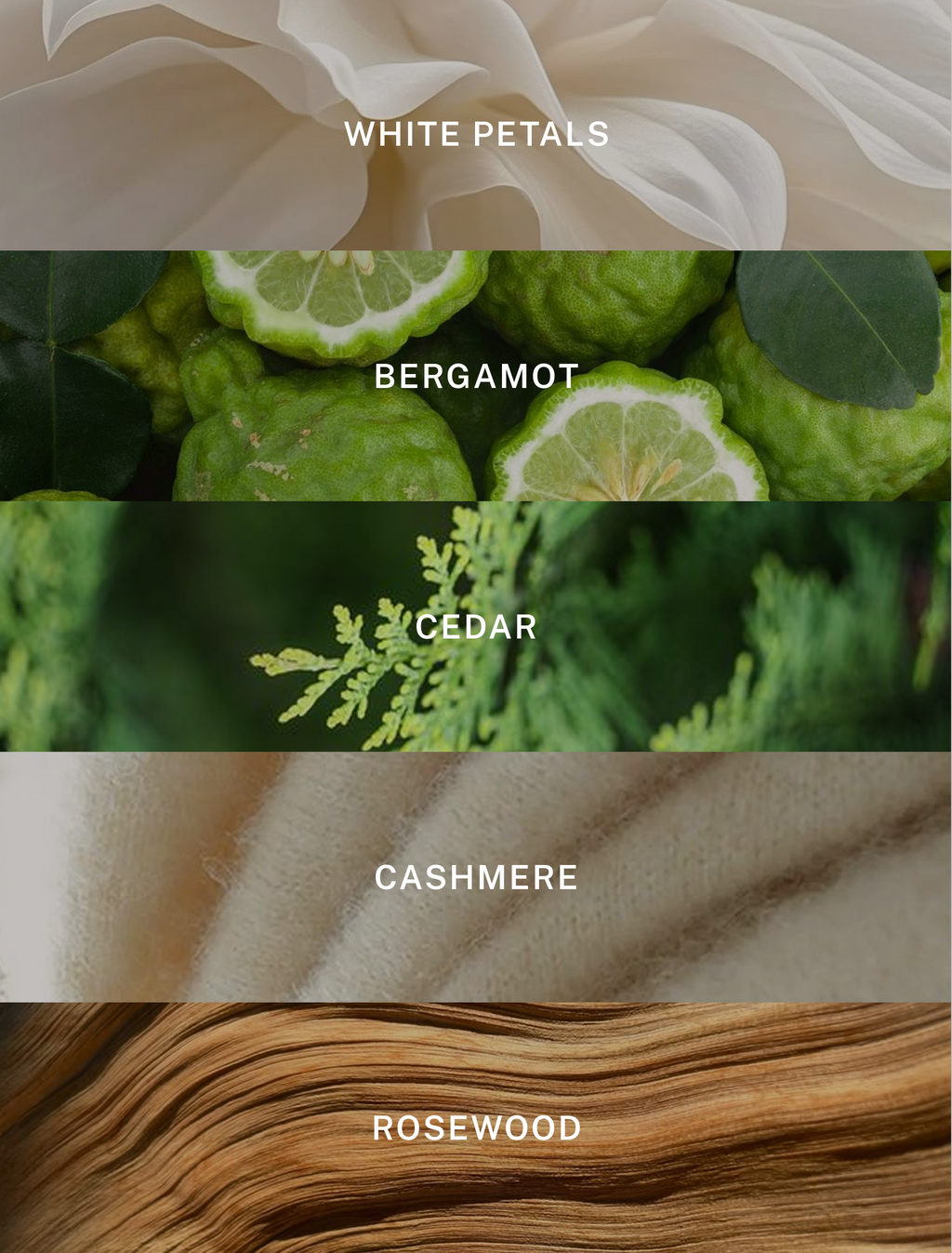 Miami - Luxury Soy Candle - 9.75 oz